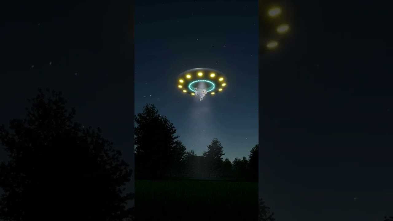Abducted by ufo! aliens!#aliens #alienattack #goldendoodle #comedy #love #shortsfeed #spookyseason