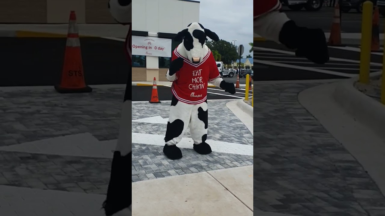 Chick fil a has a new salsa cow! #shortsfeed #chickfila #cow #salsacubana