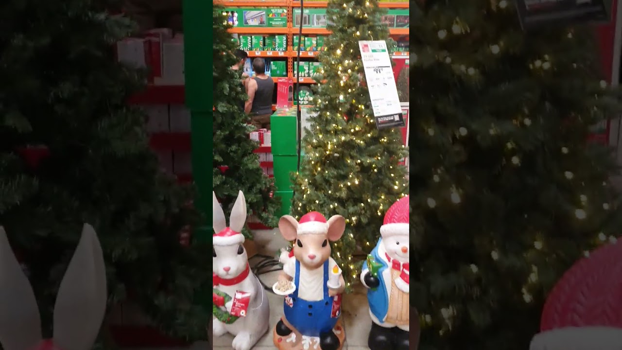 He was hiding from me!!! #shortsfeed #grinch #love #christmas #homedepot