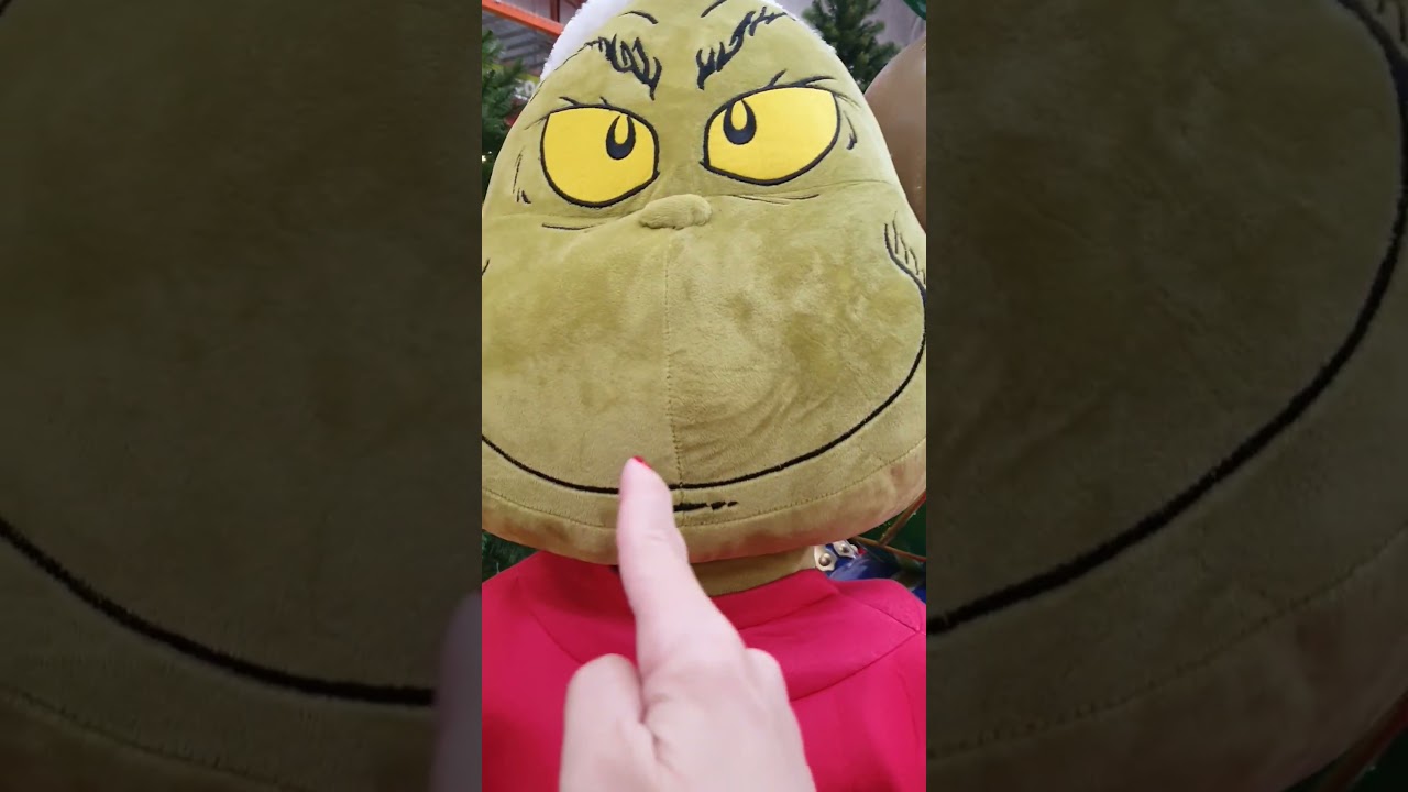 Get out grinch! #shortsfeed #grinch #christmas #love #homedepot