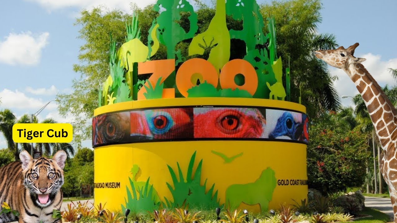Exploring zoo miami a virtual safari adventure 🦓🌎 part 1