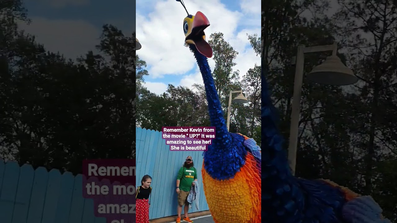Kevin! #shortsfeed #kevin #up #disneymovies #love #ostrich #birds #waltdisneyworld #disney
