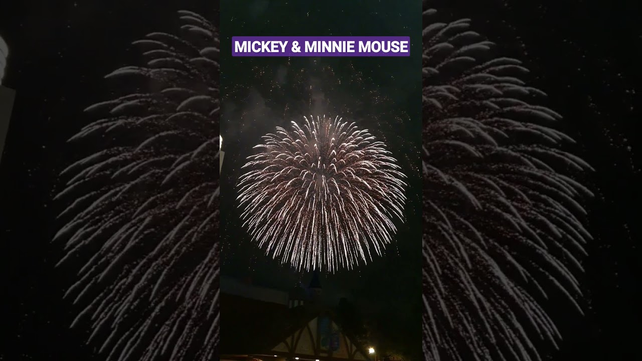 I met them! #shortsfeed #mickeymouse #disney #love #disneyworld #kevin #minnie #fun #viral