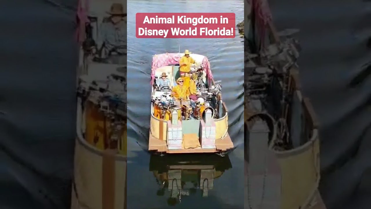 Boat party! #shortsfeed #ducks #boat #love #party #fun #disney #mickeymouse #dance #viral