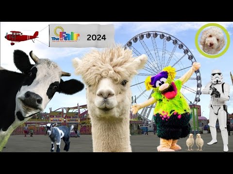 Come play with us! miami dade county youth fair 2024! #fair #miami #zoo #fun #food