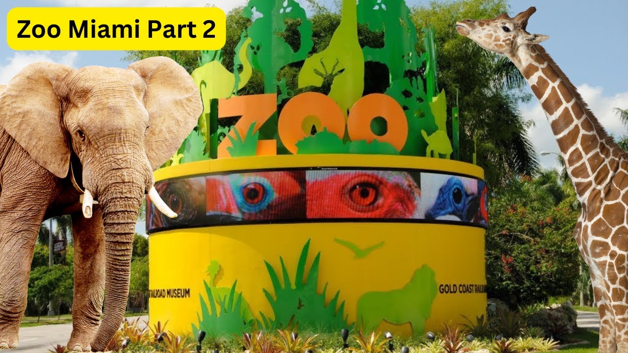 Exploring zoo miami a virtual safari adventure 🦓🌎 part 2
