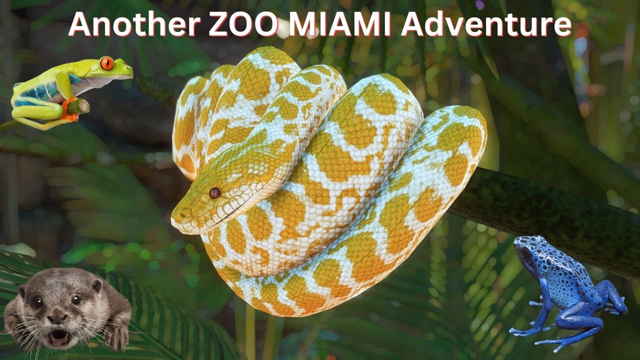 Creepy snakes! exploring zoo miami’s animal kingdom zoo miami has snakes!