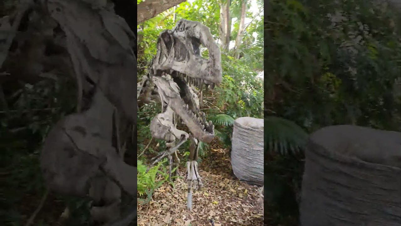 Creepy jump scare! #shortsfeed #jumpscare #bones #creepy #dinosaur #scary #comedy #scarymarytv #maxi