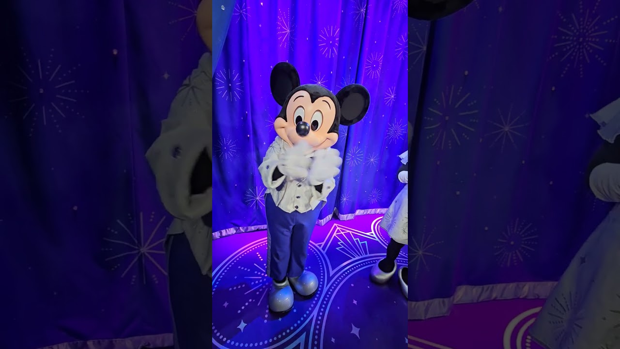 Mickey and minnie in silver outfits! #shortsfeed #mickey #minniemouse #epcot #love #disneyworld