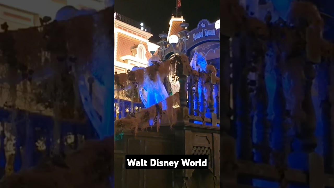 The haunted mansion float! #halloween2024 #disney #fun #mickeysnotsoscaryhalloweenparty #ghost