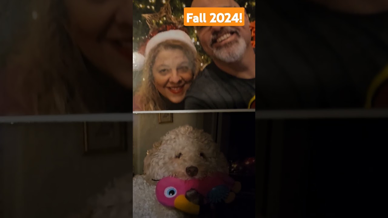 No tricks! just treats! #halloween2024 #love #happy #soulmate #shortsfeed #fun #candy