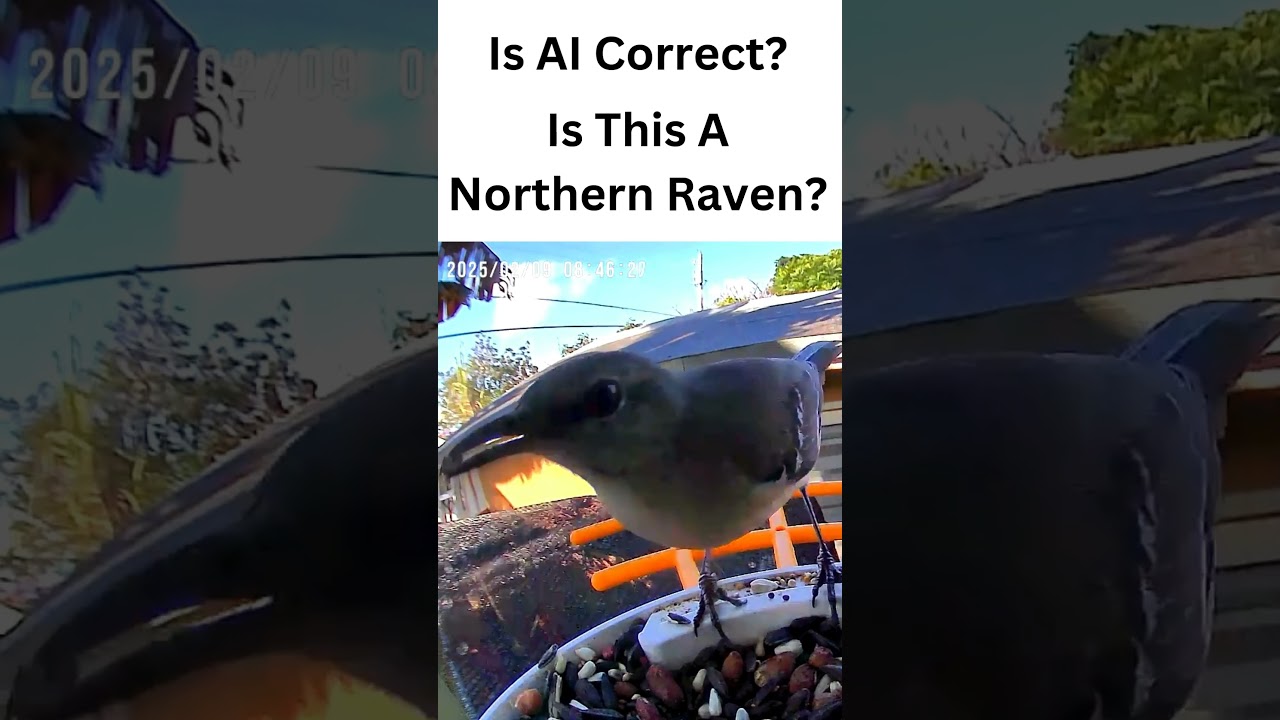 Do you know ?#shortsfeed #birds #ai #trivia #nature