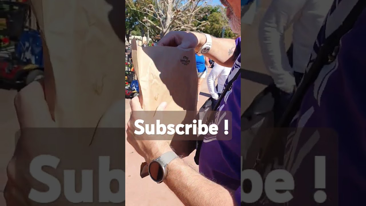 Huge! #shortsfeed #epcot #disney #pretzels #germany #food #fun