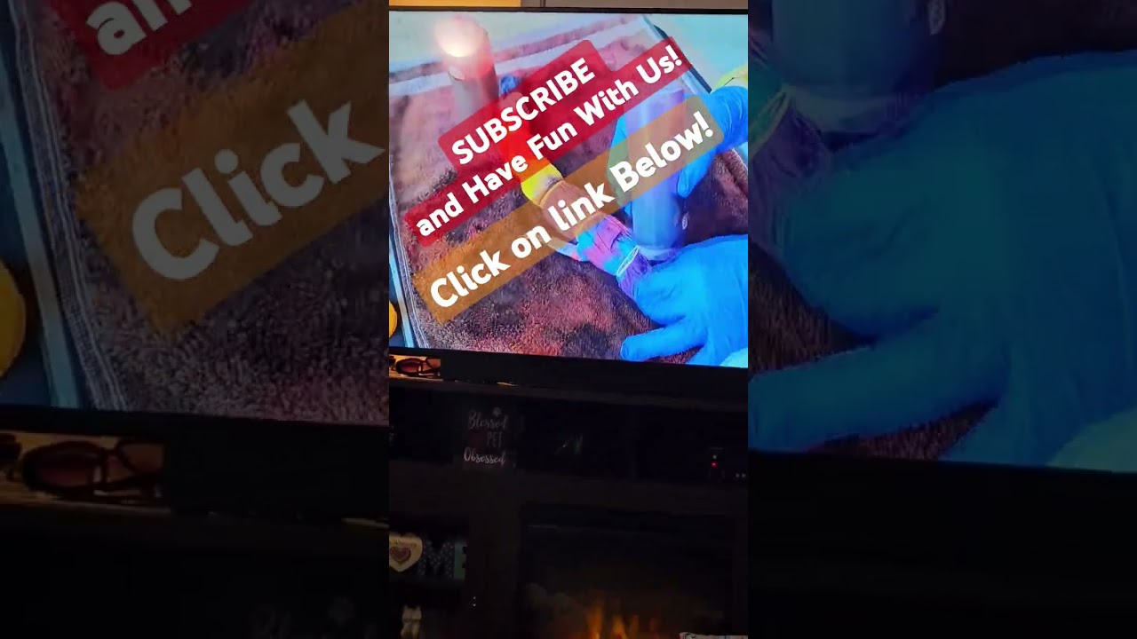 No ticket? no problem! #shortsfeed #disney #art #tiedye #howto #couple