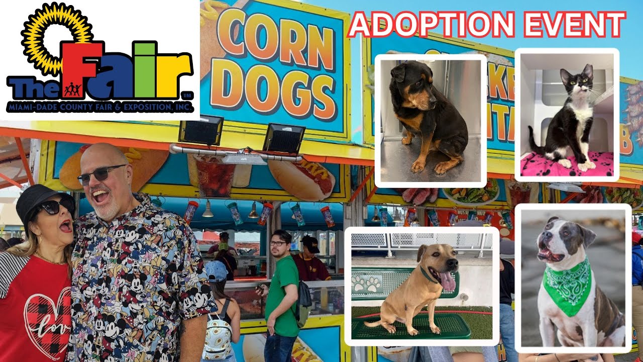 ❤️ adoption day event! miami dade youth fair 2025 (part 4)